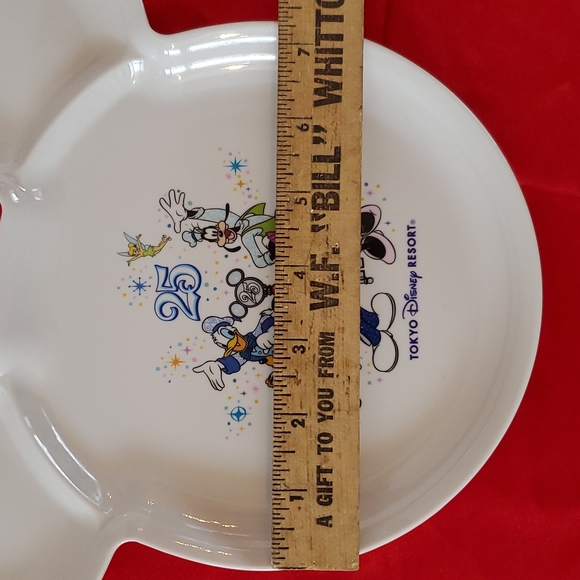 25 Tokyo Disney Resort Kids or Display Plate. - Picture 7 of 8